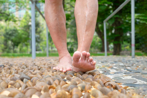 istockphoto 1505599417 612x612 1